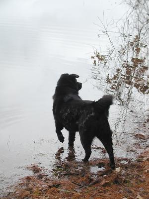 Kristy contemplates Spectacle Pond