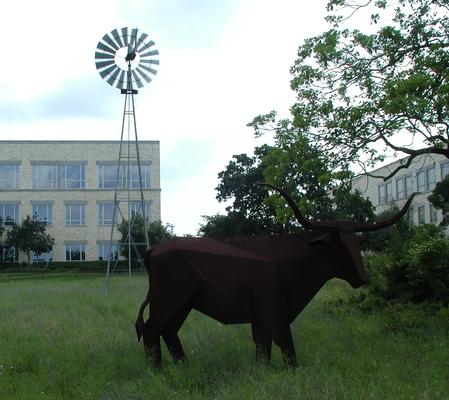 Motorola (now Freescale) cows #3