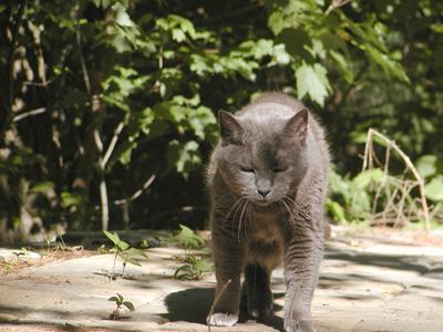 Go ahead, make my day....