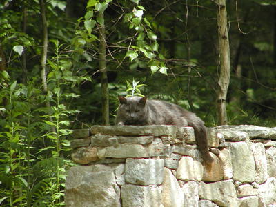 Bother me and die.....