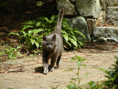 That's it, I'm outta here....