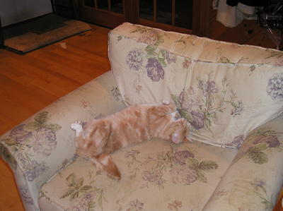 Let me get comfortable here