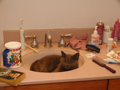 Don't you dare brush your teeth