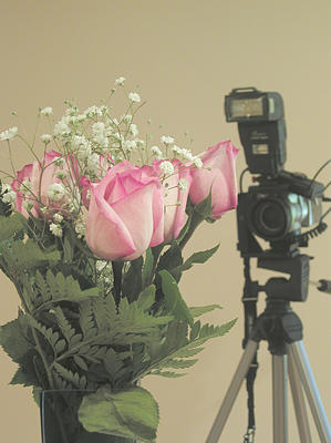 How bugs perceive us #2