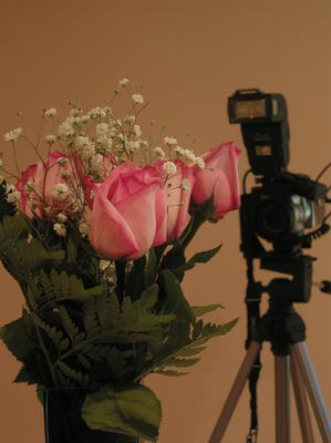 How bugs perceive us #3