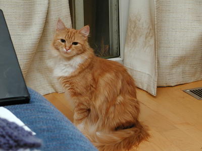 Are you still there?