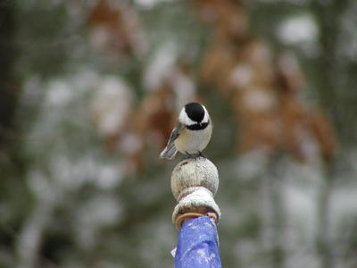 What are you looking at?