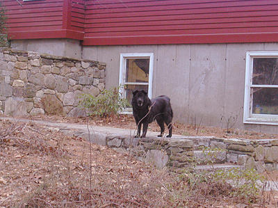 What's taking you so long?