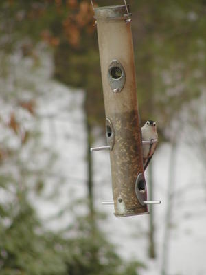 Hmmm, I don't see anybody behind the camera