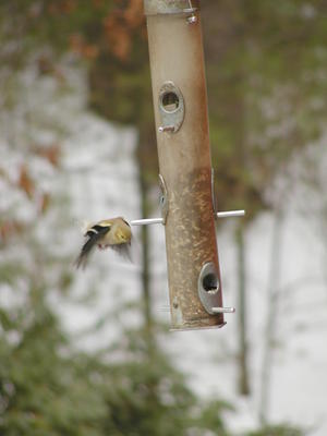 You are clear to land....