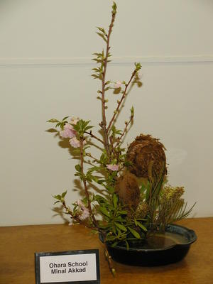 Ohara school - Minal Akkao