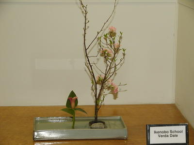 Ikenobo school - Verda Dale