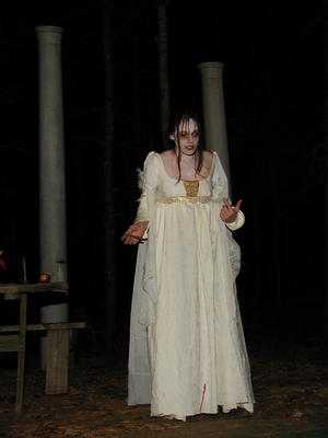 Edgar Allan Poe's Forest of Fright #11