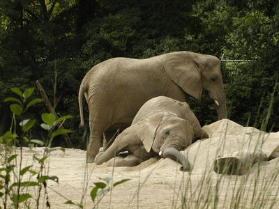 It's been a long hard day