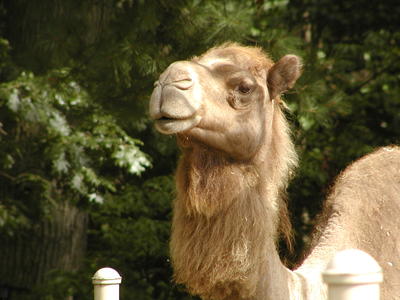 Up close and personal