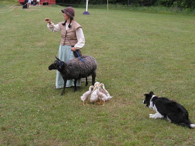 Keeping your ducks in a row