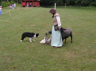 Into the cage with you