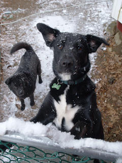 Please let me in, please....