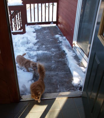 Brrrr, its cold out there