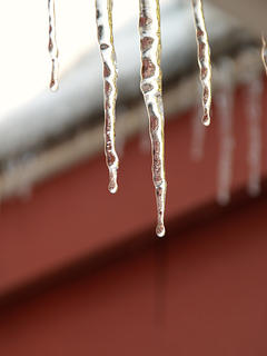 Icicle