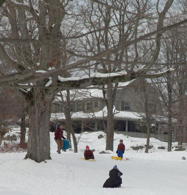 Trying to get the shot