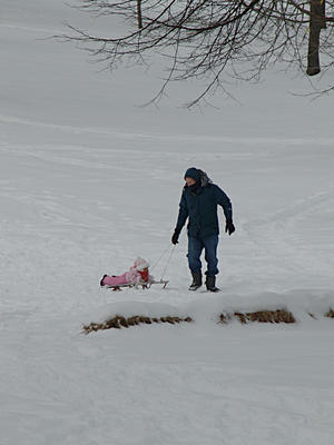With a one father powered open sled
