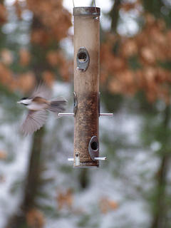 I'm going to blow this joint