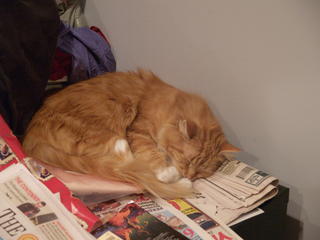 Its snooze, not news