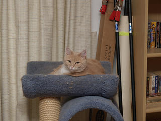 Sigh, is that a camera?