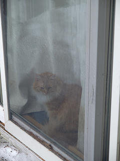 America pondering snow