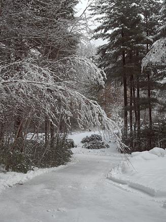 Snowy driveway