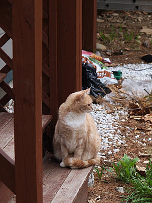 What is he looking at?