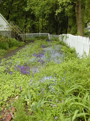 Flowers at South Acton Congregational Church