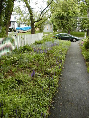 Flowers at South Acton Congregational Church #4