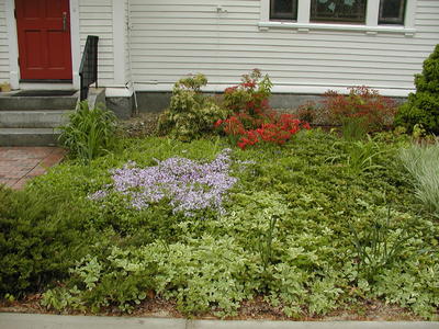 Flowers at South Acton Congregational Church #10