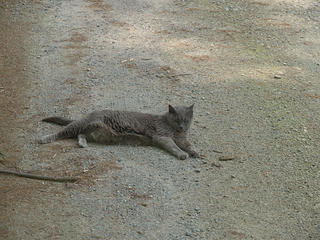 How to spend a hot and humid afternoon