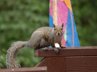 Are you talking to me?