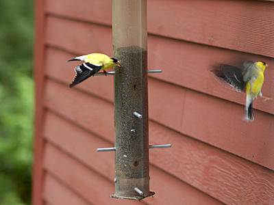 I'm so out of here....