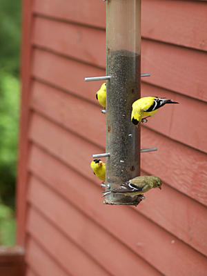 Howdy stranger, new to the area?