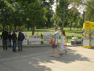 Protest in Boston common