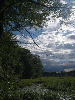 Clouds over Spectacle Pond #3