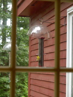 Are you pointing that camera at me?