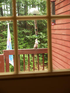 Will he make the jump?