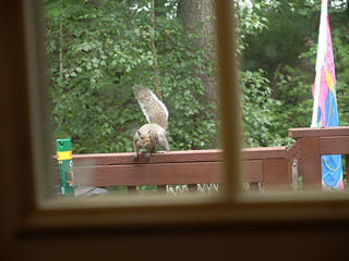 Smile for the camera