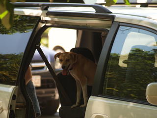 I'm ready to go home now