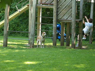 Guarding the swingset