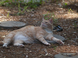 Aerosmith in contemplation