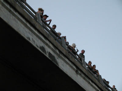 People waiting for the arrival of the bats #2