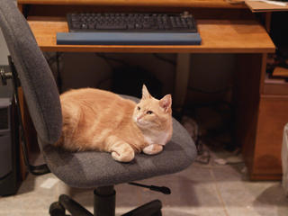 Go ahead, just try to use your computer