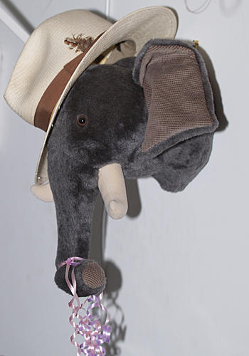 Elephant in a hat